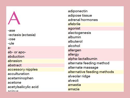 1000+ Lactation Terms You Should Know (Free Resource)