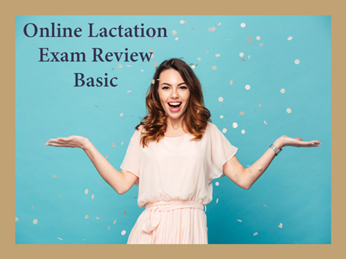 Marie Biancuzzo's Online Lactation Exam Review Basic Package
